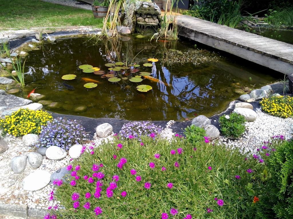 Bed and Breakfast Le Bassin Du Tertre Fronsac  Esterno foto