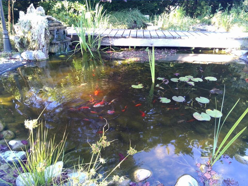 Bed and Breakfast Le Bassin Du Tertre Fronsac  Esterno foto